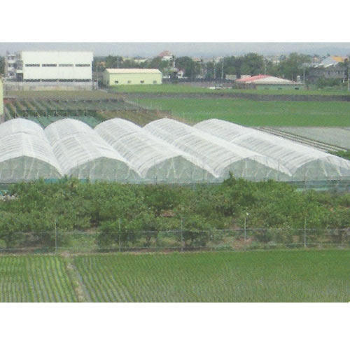 Poly House Shade Net - Hdpe Material, Customized Dimensions Up To 6 Meters Wide | Uv Coated, Available In 35% To 90% Shade, Various Colors Including White, Green, Beige, Pink, Brown, And Orange