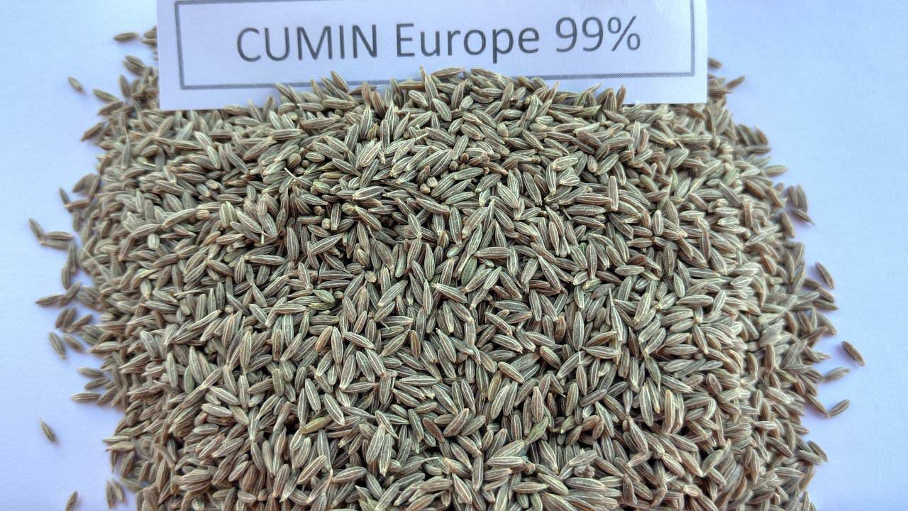 Cumin Seeds - Raw Brown Elongated Spice | Ideal For Industrial Use, Earthy And Nutty Flavor, Perfect For Chili, Tamales, And Indian Curries