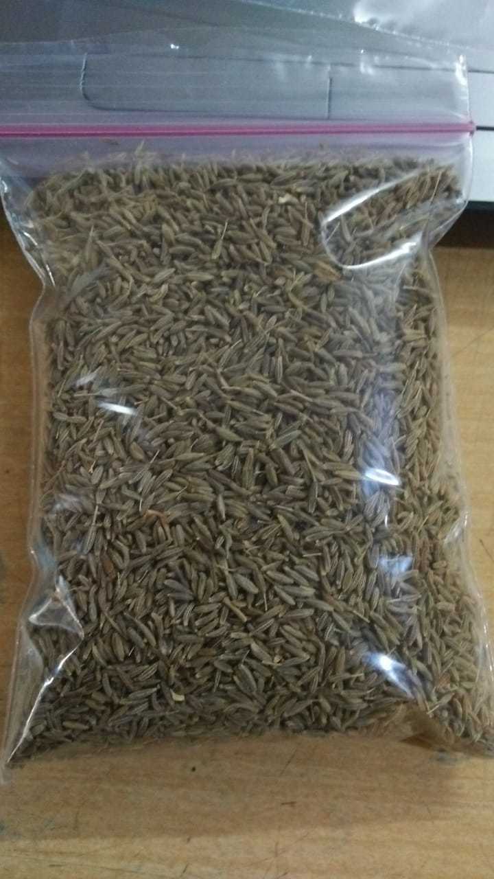 Cumin Seeds - Raw Brown Elongated Spice | Ideal For Industrial Use, Earthy And Nutty Flavor, Perfect For Chili, Tamales, And Indian Curries