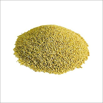 Browntop Millet