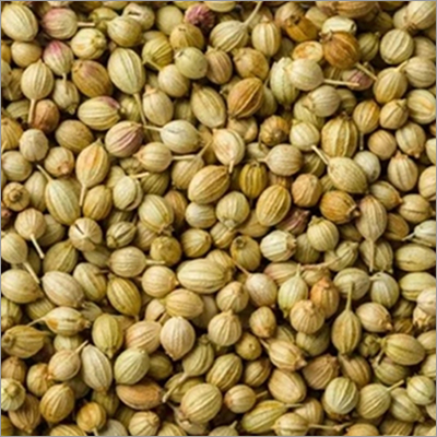 धनिये के बीज