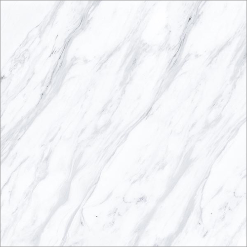 Square Albedo Saturio Glossy Floor Tiles