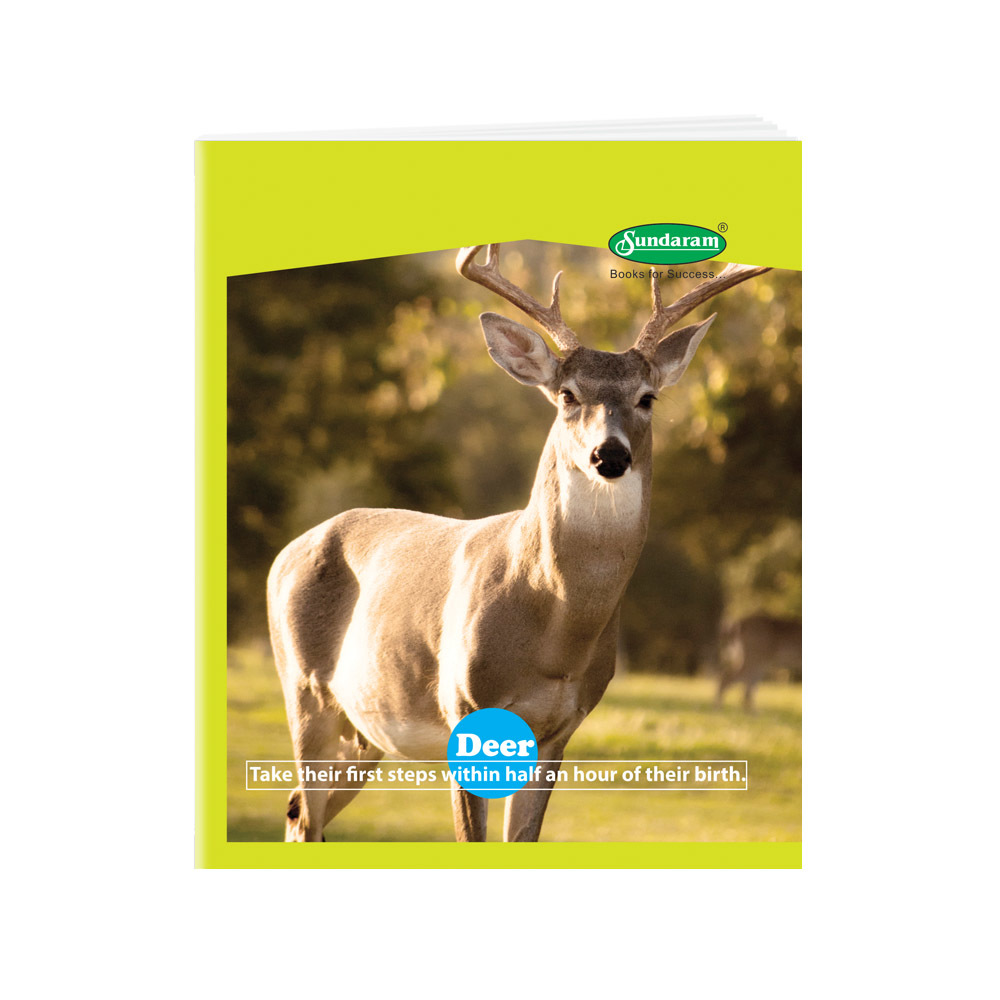 Note Book - Paper Material, 15.5 X 19 Cm Size | Hard Bound, Center Stitched Design, Ideal For School And College Use