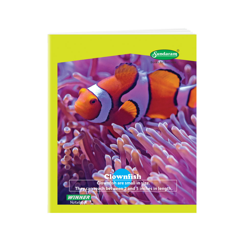 Note Book - Paper Material, 15.5 X 19 Cm Size | Hard Bound, Center Stitched Design, Ideal For School And College Use