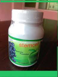 Stem Cell Capsule