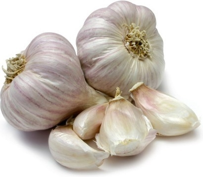 Garlic Seeds Moisture (%): 14%