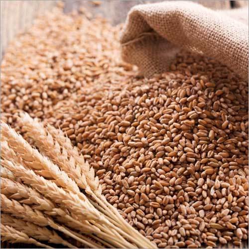 ऑर्गेनिक प्योर व्हीट