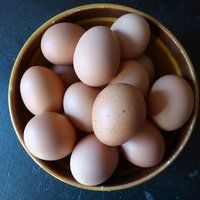 ताजा ब्राउन अंडे