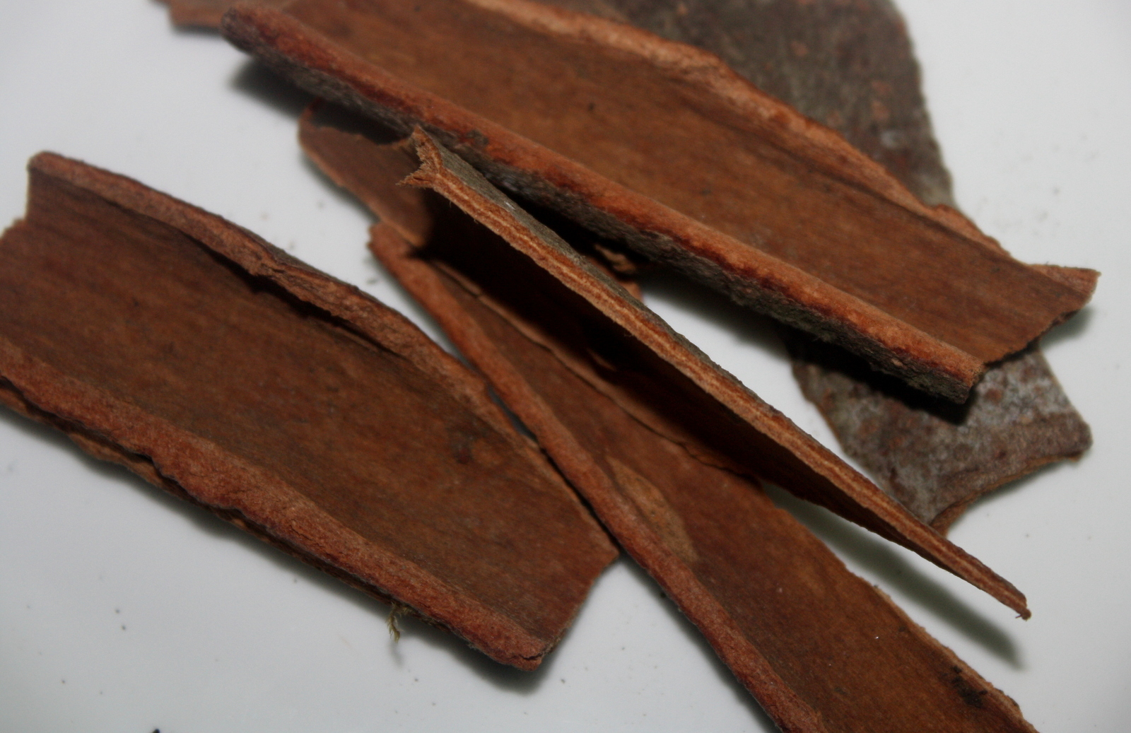 Dark Brown Cassia Cinnamon