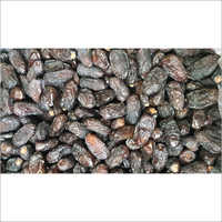 बरकत सफ़वी तिथियाँ