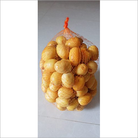 Polynet Net