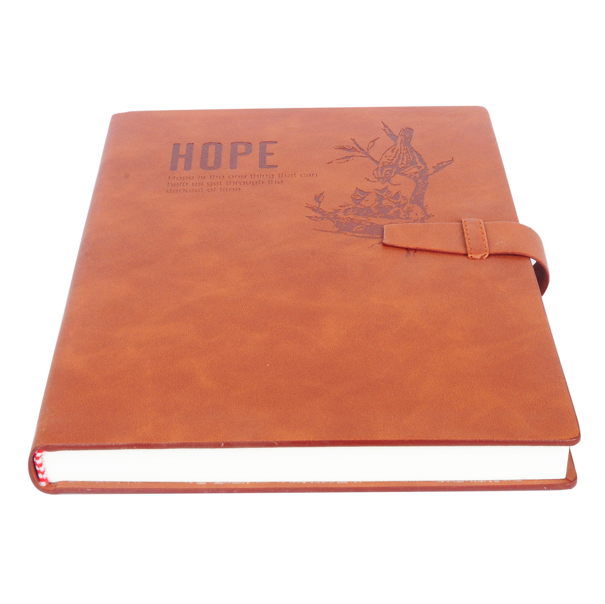 Hope Diary Luppi