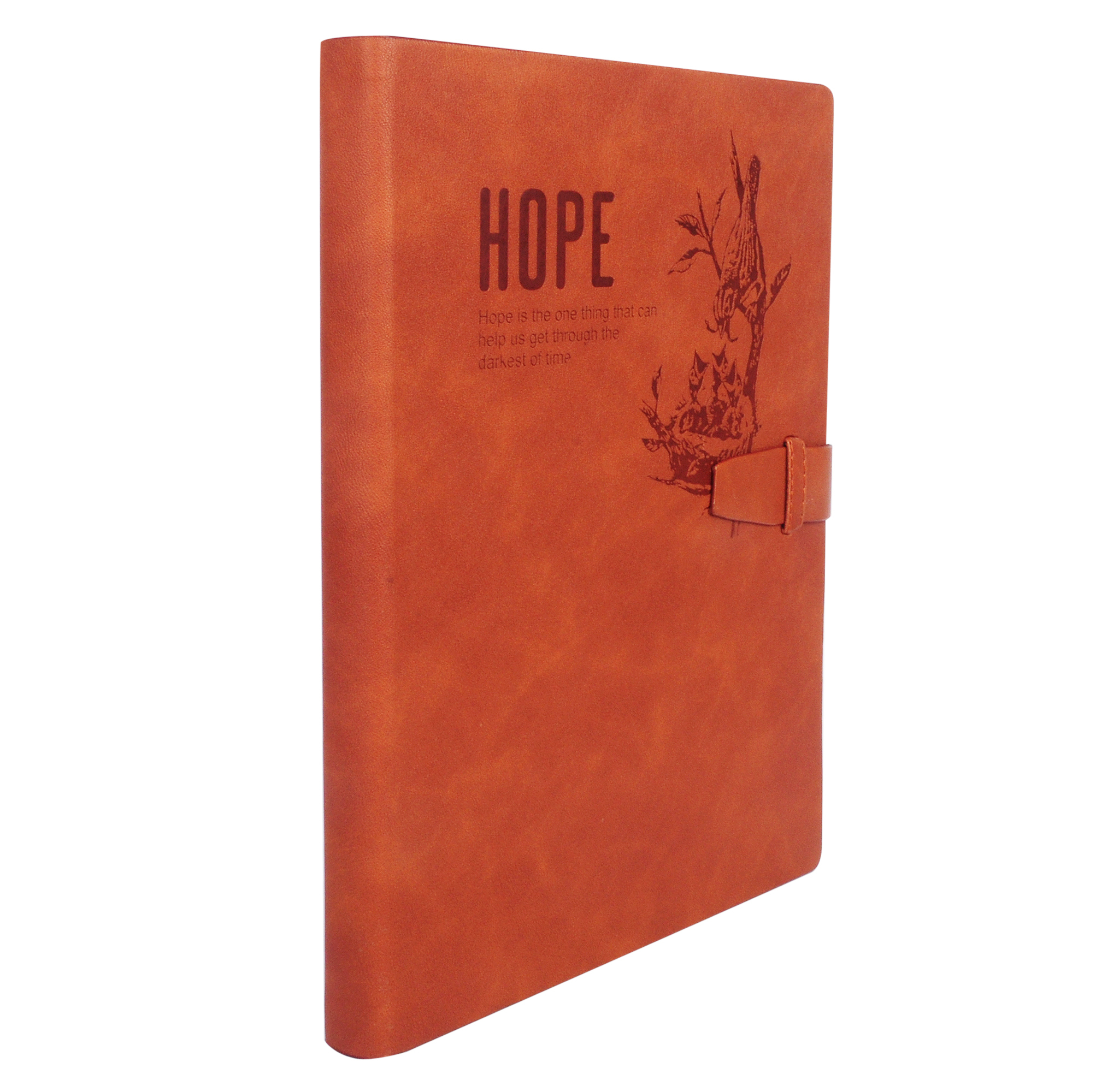Hope Diary Luppi