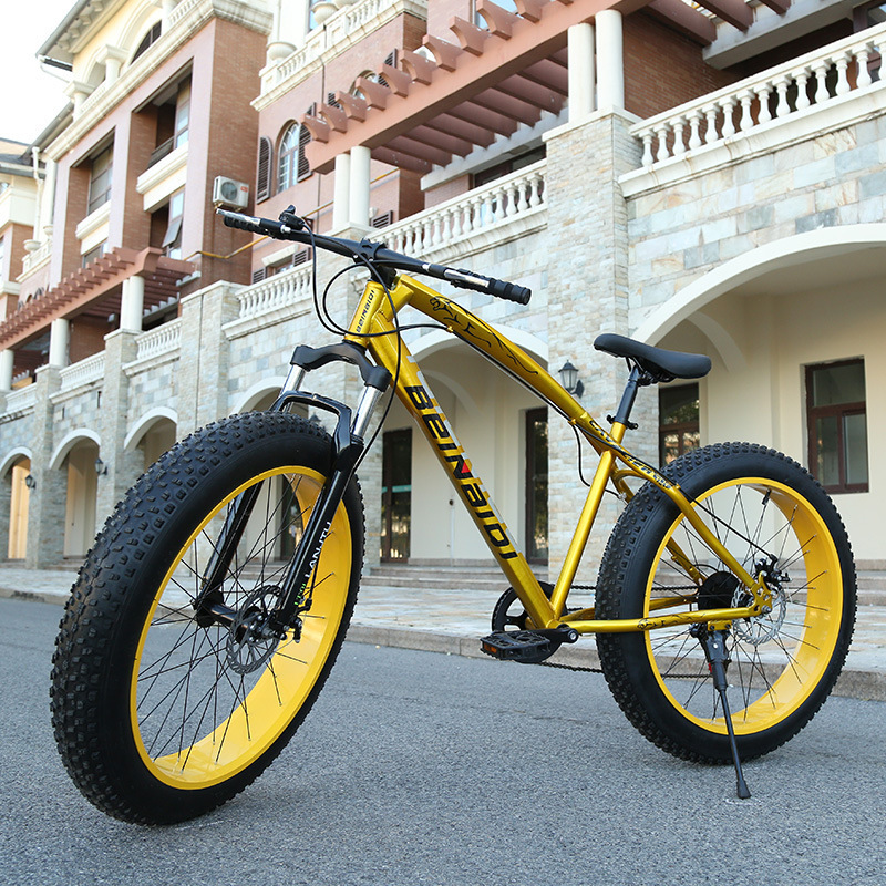 Snow Bicycle---jaguar Gender: Male