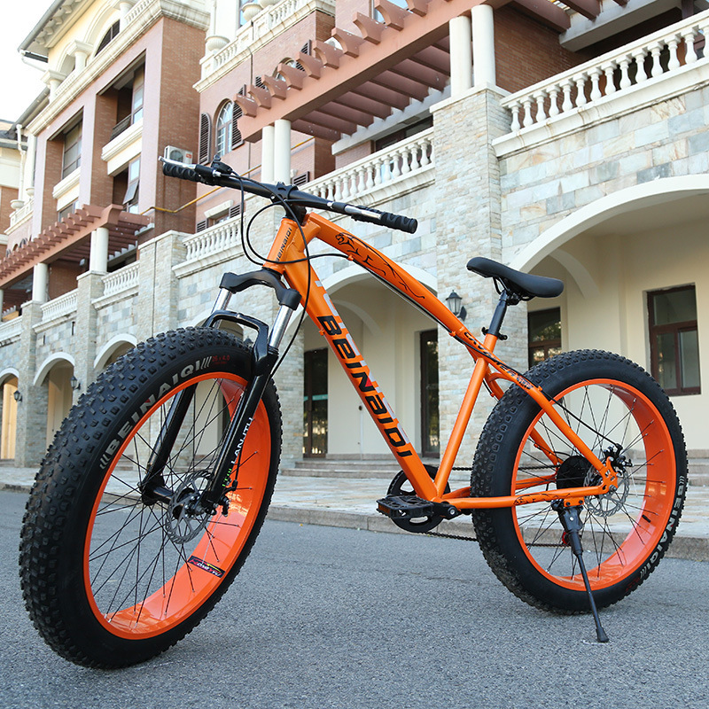 Snow Bicycle---jaguar Gender: Male
