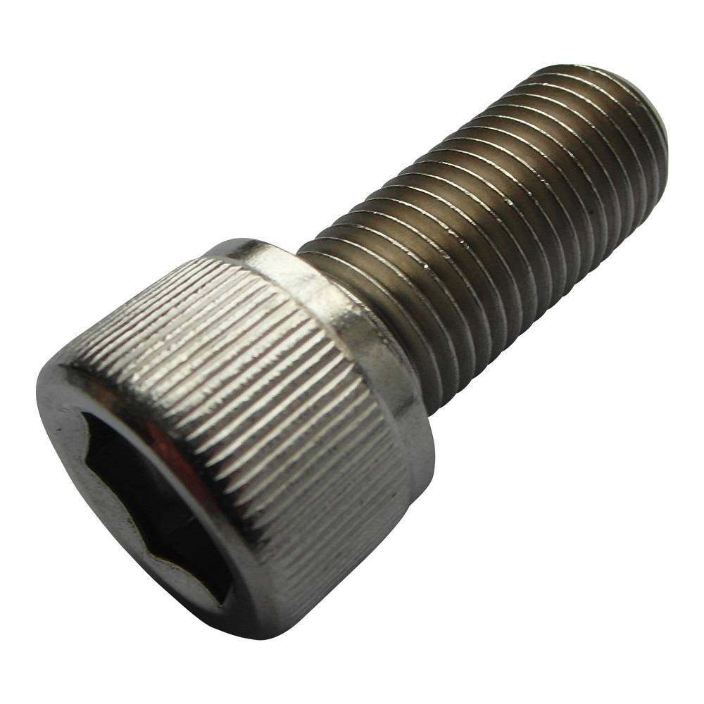 Round Ss Socket Head Bolt