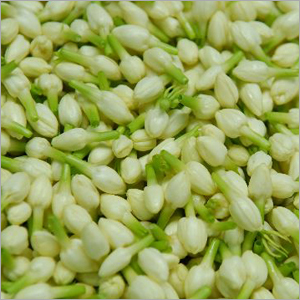 पौधे, फूल और सूखे फूल