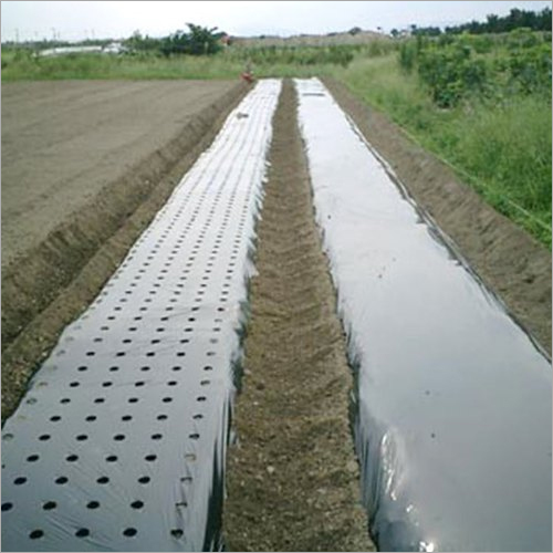 Biodegradable Mulch Film - HDPE Material, 2.5 Feet Width x 400 Mtr Length, 25 Micron Thickness, Black Color, Roll Packaging