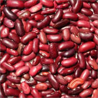 कॉमन रेड राजमा