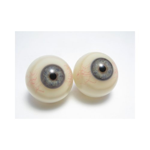 Black Artificial Eye