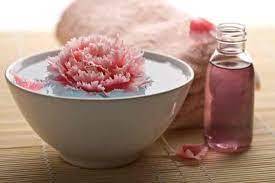 कार्नेशन एब्सोल्यूट ऑयल कच्चा माल: फूल