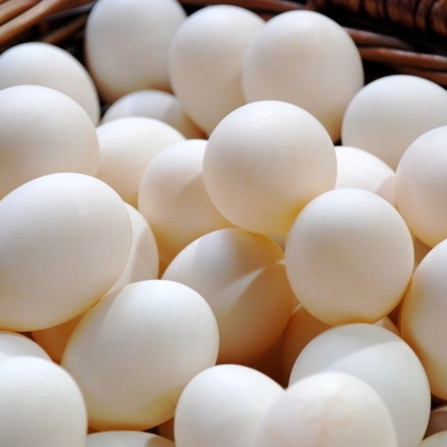 Organic White Eggs Egg Origin: Chicken