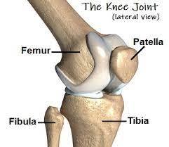 Skin & Yellow Knee Joint