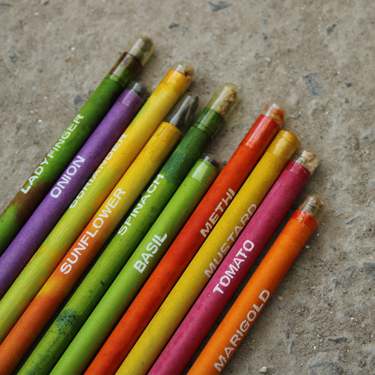 Bioq Plantable Eco Friendly Seed Pen Seed Pencil Combo Box (5 Pen And 5 Pencils)