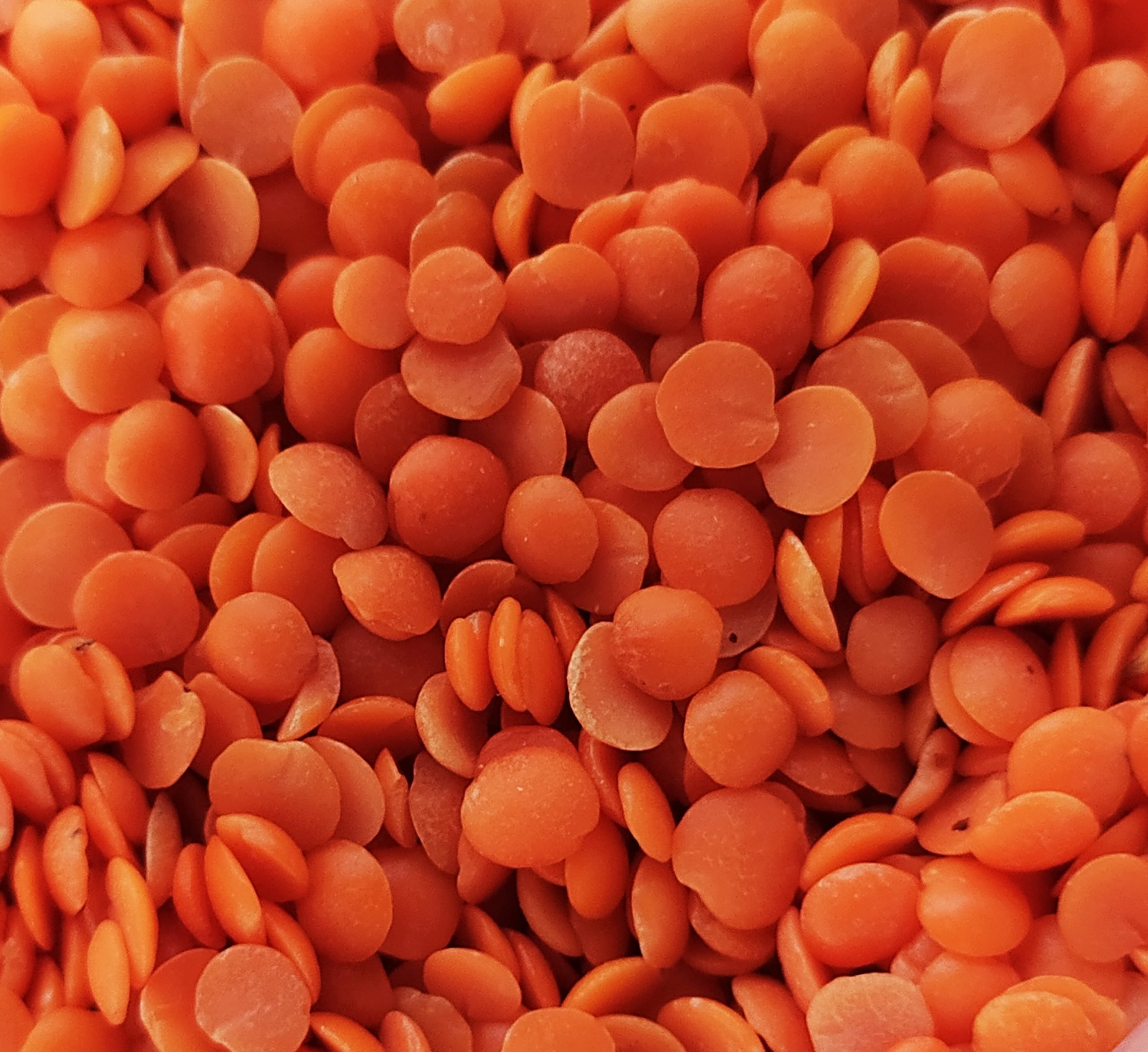 Masoor Dal - Whole Masoor Dal, 1 Kilogram (Kg) Granules, Red Color, Natural Taste, Grade A, Shelf Life: 1 Year