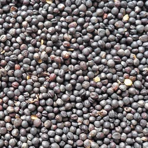 Pure Organic Black Pepper - 1-50kg Bag Packaging, 550 G/l Density | Fda, Haccp, Iso Certified, Low Moisture Content