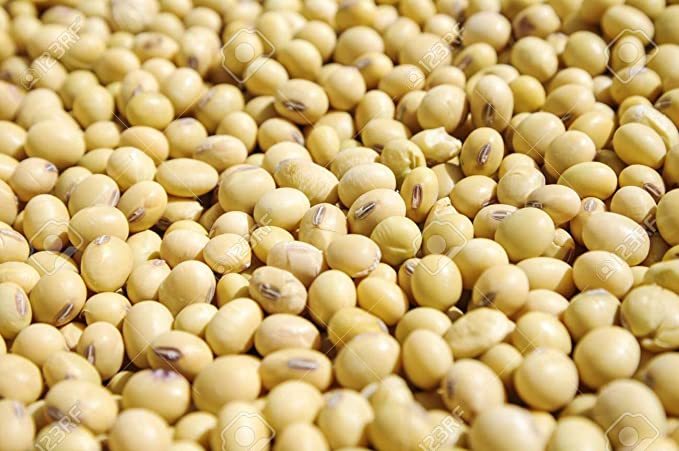 Soya Beans - Premium Quality Non-gmo, Natural Protein Source, Ideal For Food And Beverage Applications