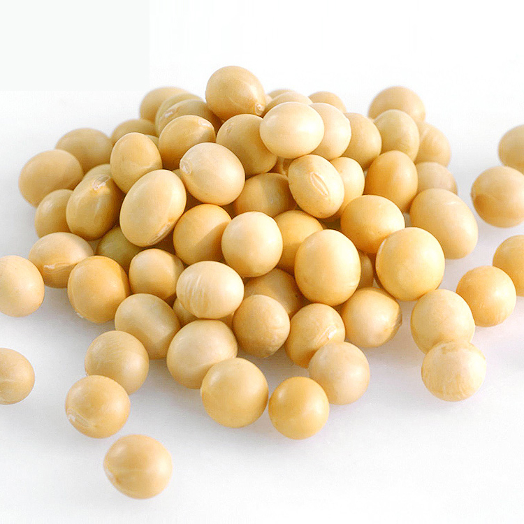Soya Beans - Premium Quality Non-gmo, Natural Protein Source, Ideal For Food And Beverage Applications