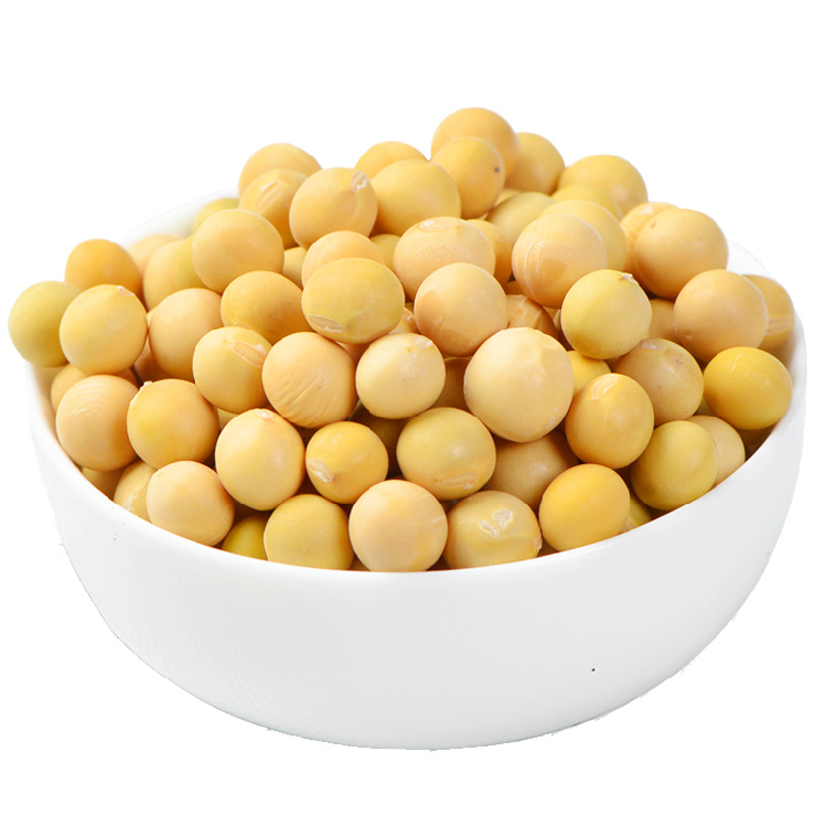 Soya Beans - Premium Quality Non-gmo, Natural Protein Source, Ideal For Food And Beverage Applications