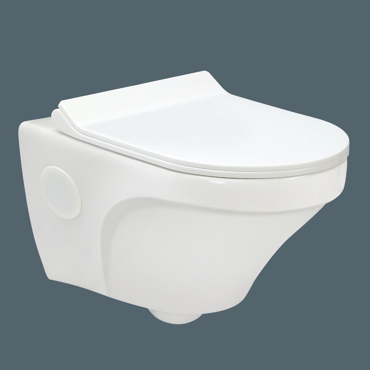 White Wall Hung Water Closet