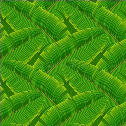 Green And Red Colour Flower Design