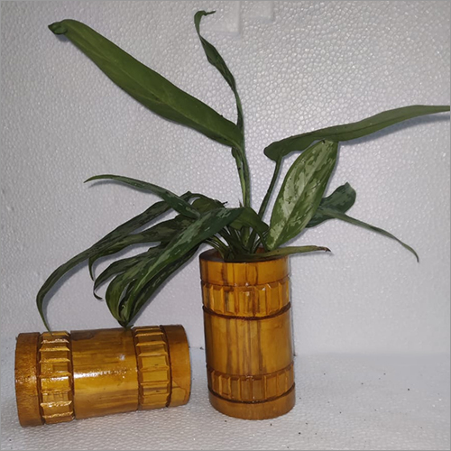 Bamboo Planters - Wood Material, 12x12x12 Inches, Golden Color | Polished Finish For Elegant Plantation Decor