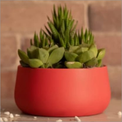 Metal Round Planters - Metal, 12x12 Inches, White | Ideal For Plantation, Durable Design, Stylish Aesthetic Enhancement