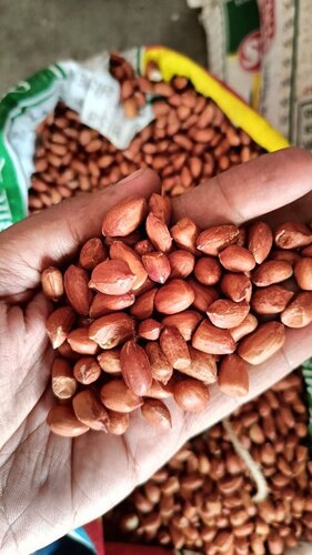 स्पिरुलिना क्रंची ग्रेड: फूड ग्रेड