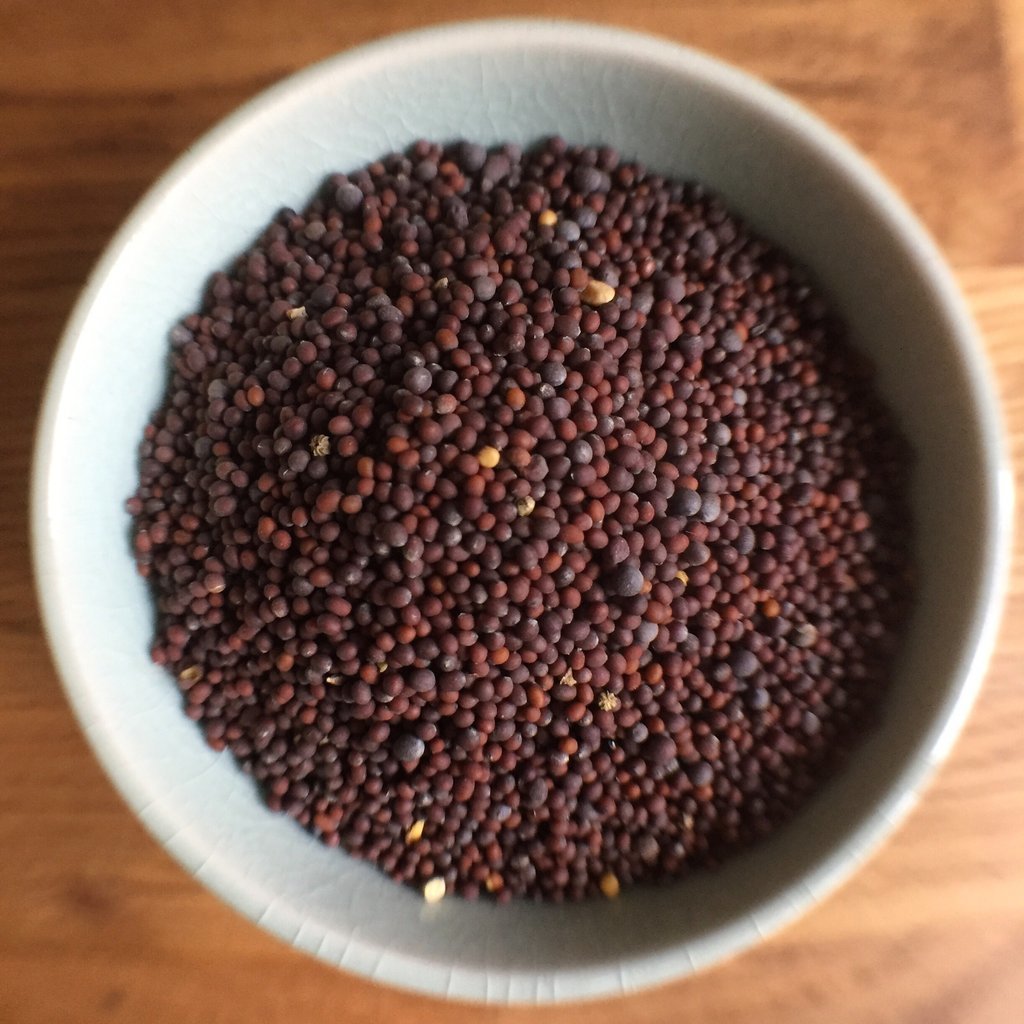 Mustard Seeds - Granule, Grade A | Black, Brown, And Red Colors, Fresh With Natural Taste, 1-year Shelf Life