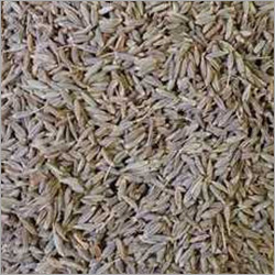 Cumin Seeds - Grade A, White Color | Shelf Life of 1 Year