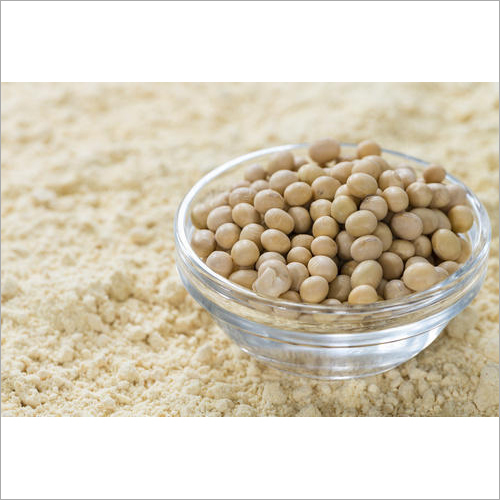 Soya Powder Dry Place
