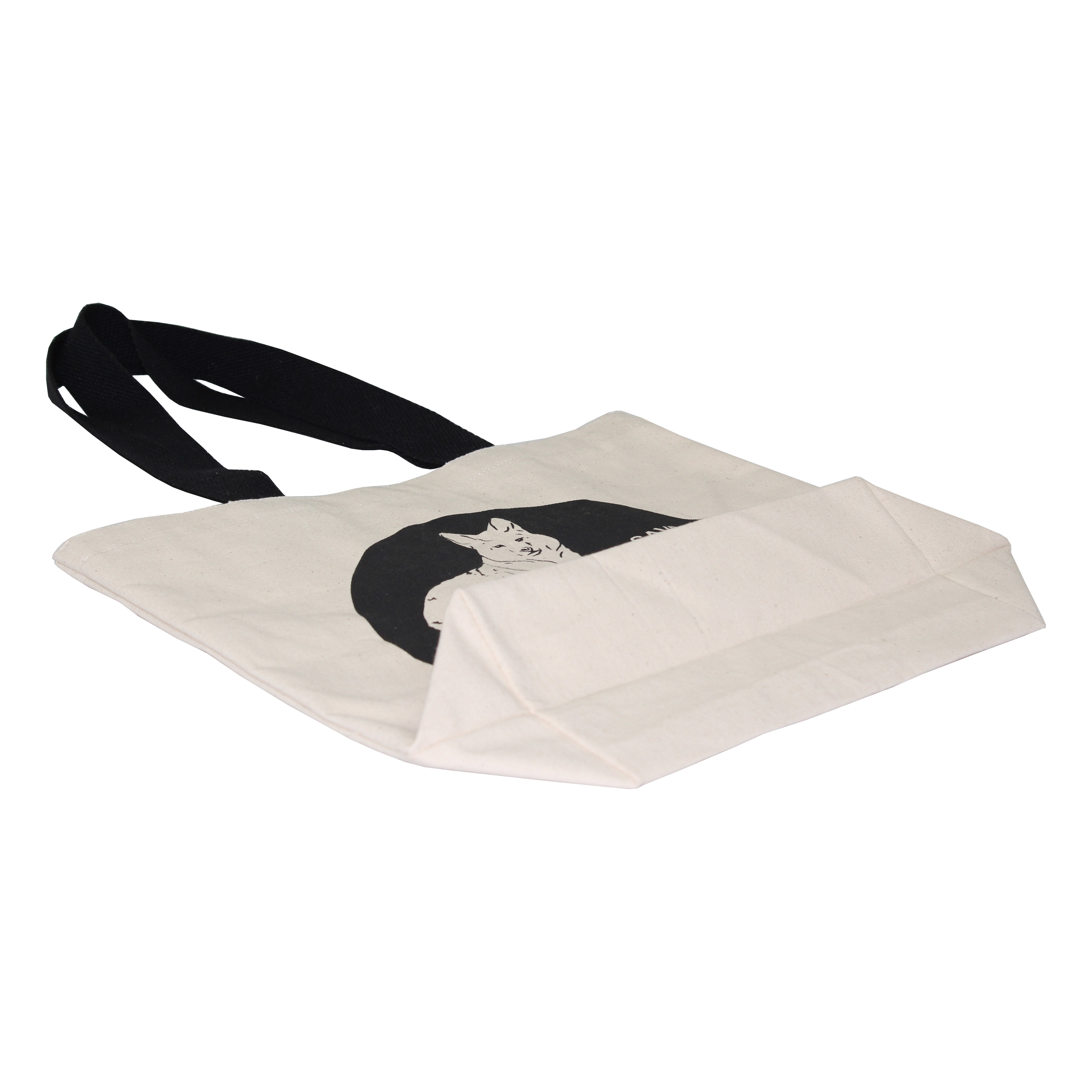 10 Oz Canvas Beach Bag With Cotton Web Handle Capacity: 5 Kgs Kg/day