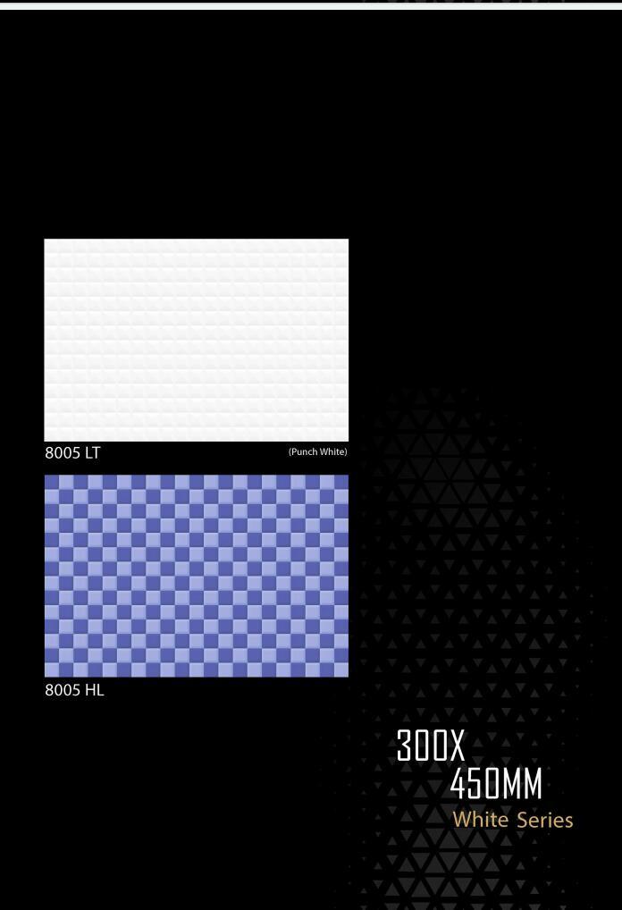 Porcelain Digital Wall Tile