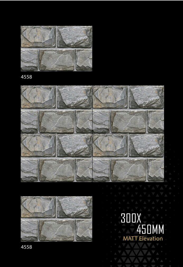Porcelain Digital Wall Tile