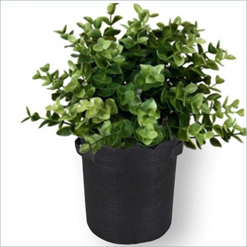 Breathable Plant Eco