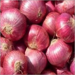 Fresh Onion