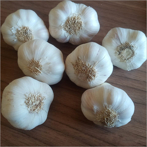 Fresh Garlic