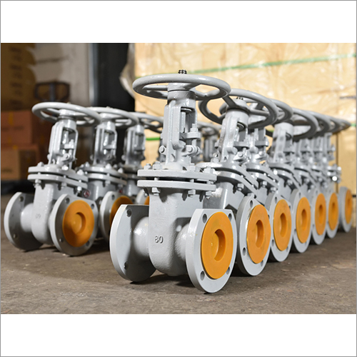 Stainless Steel Flanged End Gate Valves