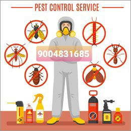 Termite Pest Control Service
