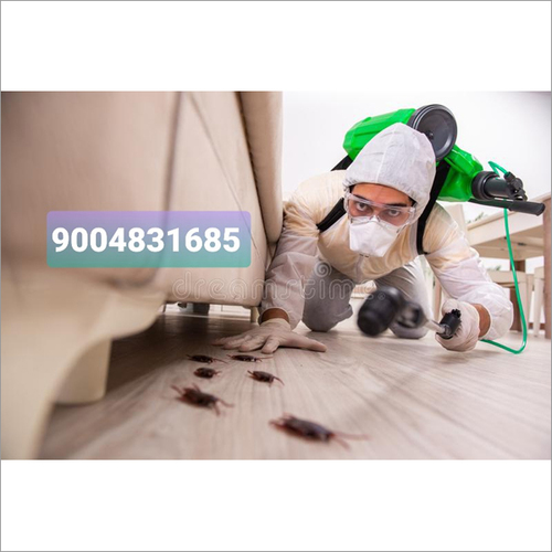 Cockroach Control
